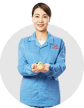 玩彩网「中国区」官方网站